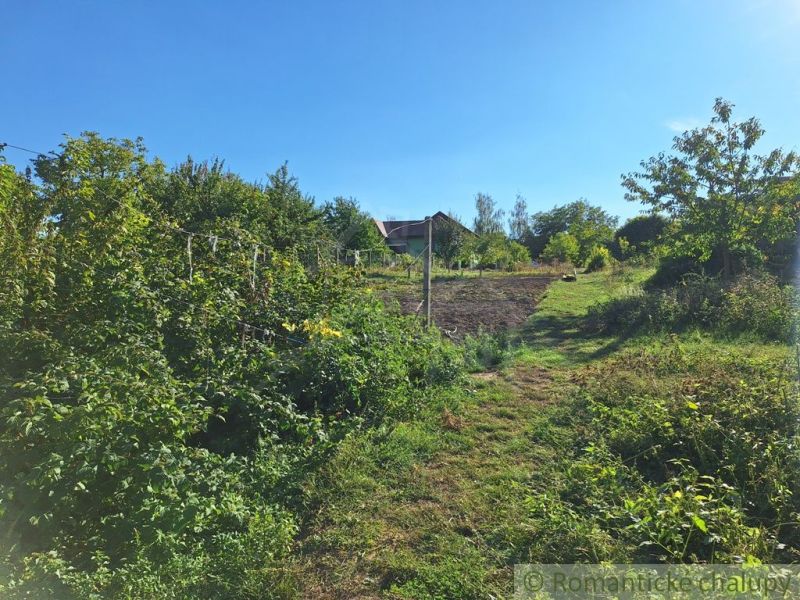 Gardens in Bruty with a house, fruit trees, and vineyards under a blue sky.