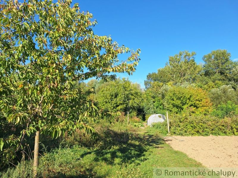 Gardens in Bruty with lush greenery and a clear blue sky.
