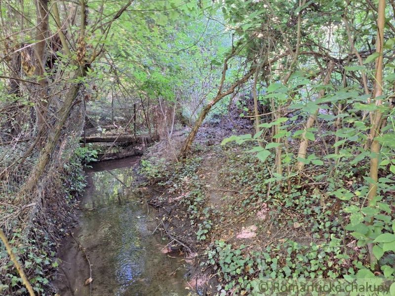 A natural stream flowing through dense gardens in Bruty, surrounded by greenery and trees.
