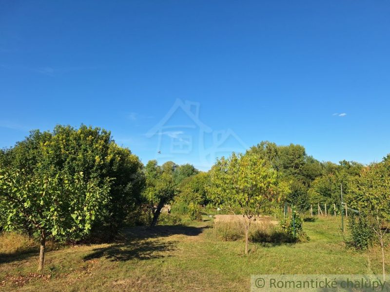 Gardens in the village of Bruty with fruit trees and a clear blue sky.