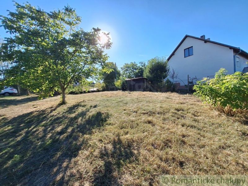 A garden in Bruty, a sunny place with a tree and a house on a gentle hill.