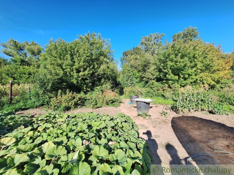 A garden in Bruty with lush vegetation, flower beds, and a blue sky.