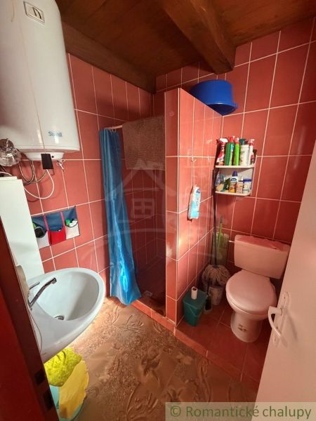 Bathroom with a shower, toilet, and sink in a cabin, with red tiles.