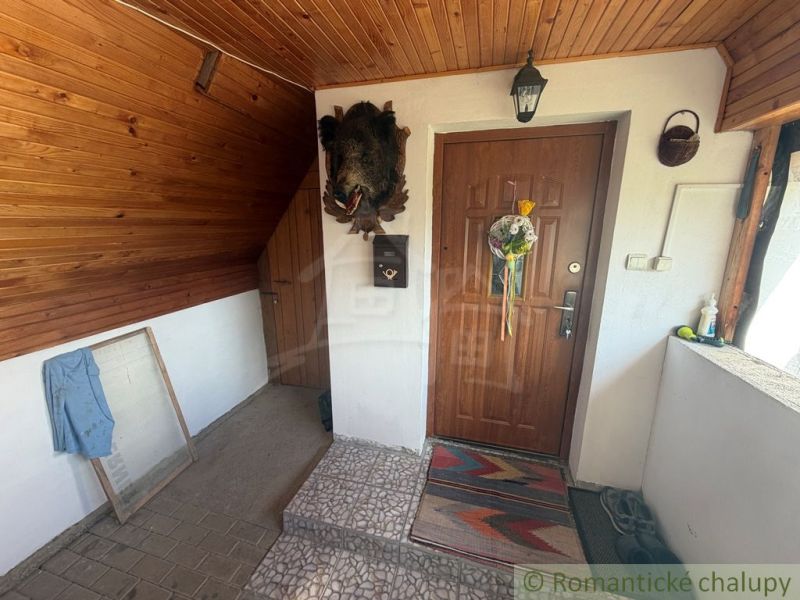 Entrance hall in a cabin with wooden paneling and imaginative wall decoration.