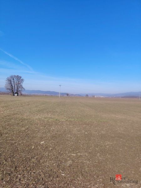 A view of a spacious plot in Šarišské Michaľany, ideal for living.