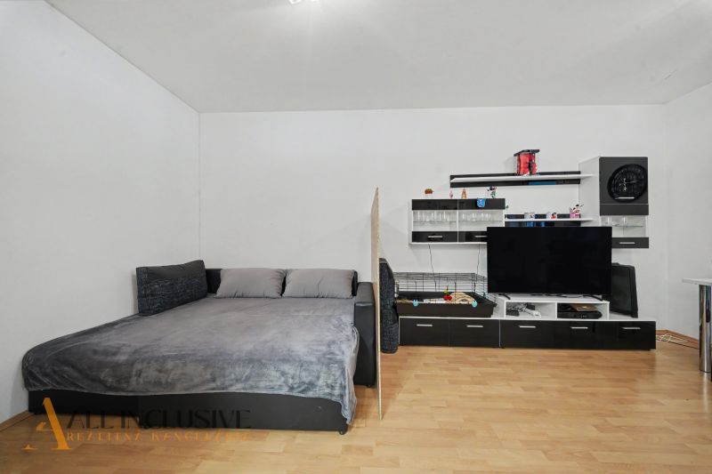 Living area in a studio apartment with wood-patterned flooring, a sofa, and a television.