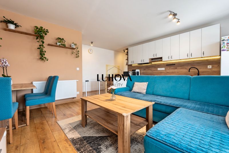 Living room in a three-room apartment with a blue sofa and a wooden decor floor.