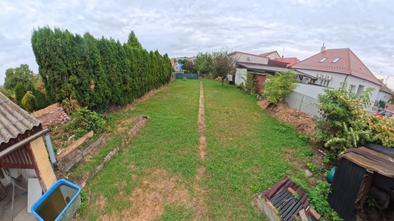 Garden of a family house on Jesenského Street in Levice with a lawn and trees.