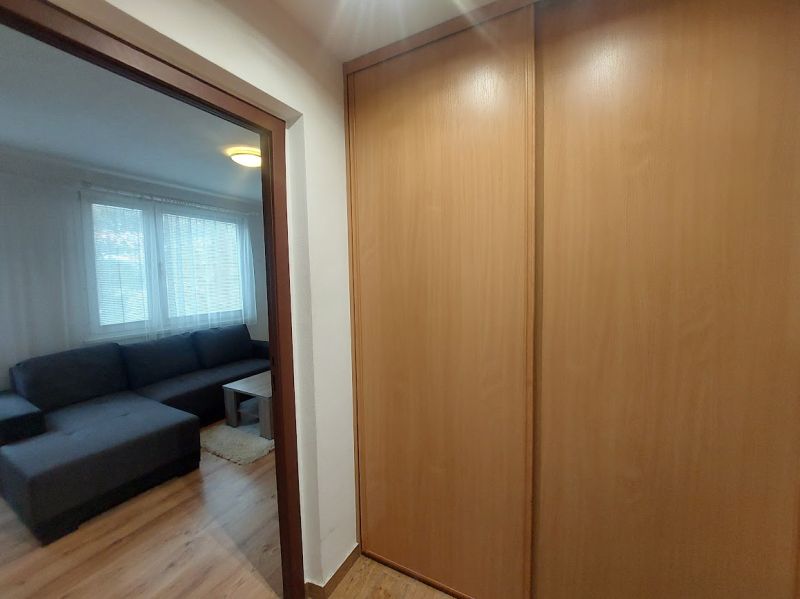 A one-room apartment with a sofa, a large wardrobe, and a floor with a wooden decor.