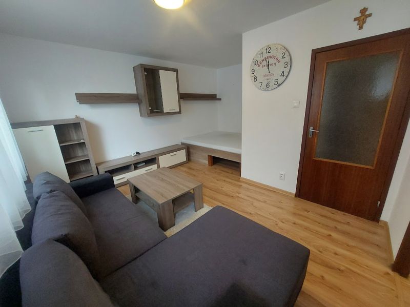 Living room with a sofa, wooden decor flooring, and wall clock in a studio apartment.