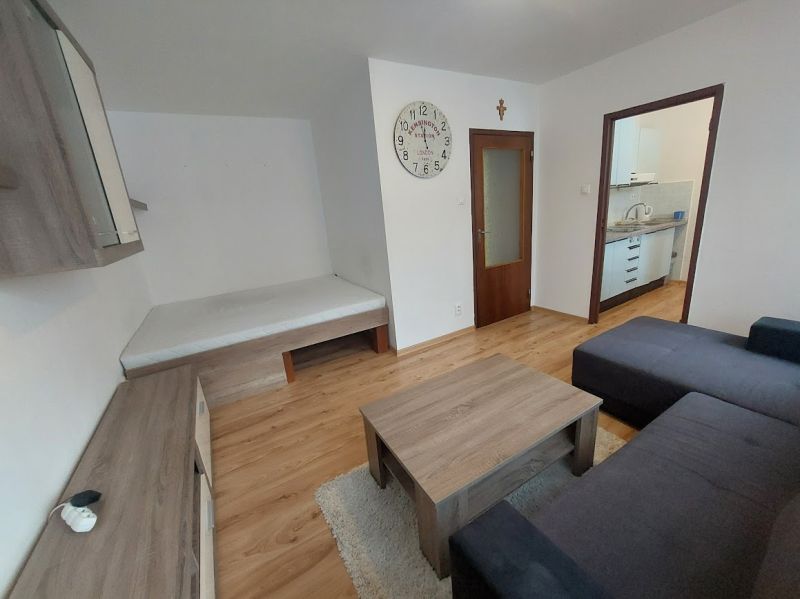 Living room in a studio apartment with wood-patterned flooring and a sofa.