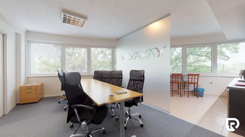 Offices with a conference table, swivel chairs, and large windows with a view.