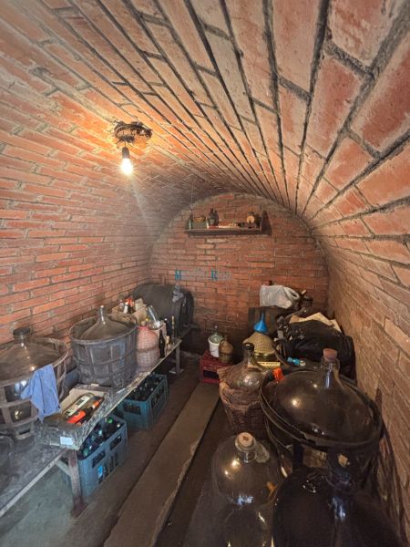 A brick-walled cellar with stored demijohns and bottles in a family house.