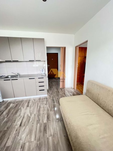 A kitchen unit with grey cabinets and a sofa in a studio apartment with a wood-patterned floor.