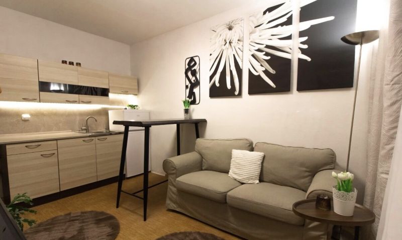 Living room in a studio apartment with a sofa and a kitchenette, wooden decor flooring.