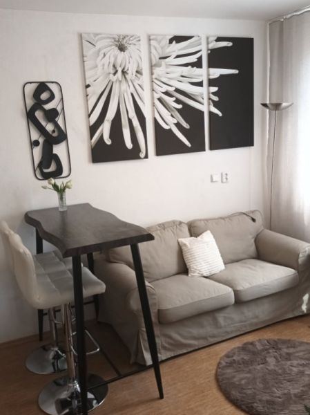 Living room with a sofa and a bar table in a studio apartment with decoration.