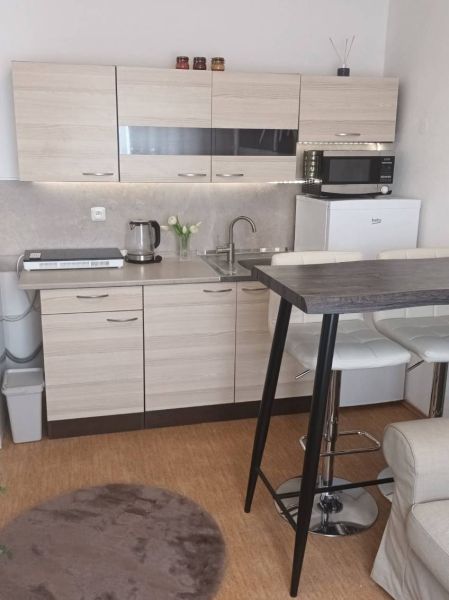 Kitchen unit with appliances and table in a studio apartment with a wooden decor floor.