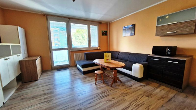Studio apartment with a spacious sofa, wooden decor flooring, light walls, furniture.