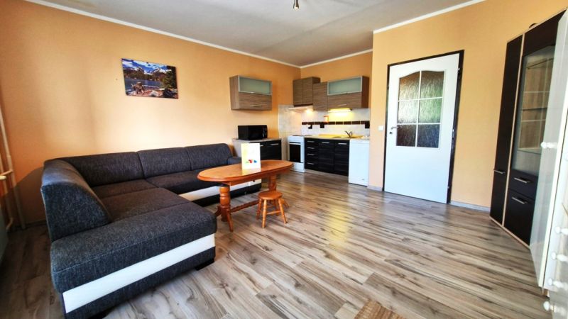 Studio apartment with a corner sofa and wood-patterned flooring, kitchenette, light-colored walls.