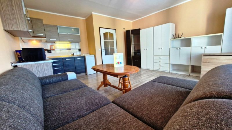 Studio apartment with a kitchenette, wooden floor decor, and a comfortable sofa.