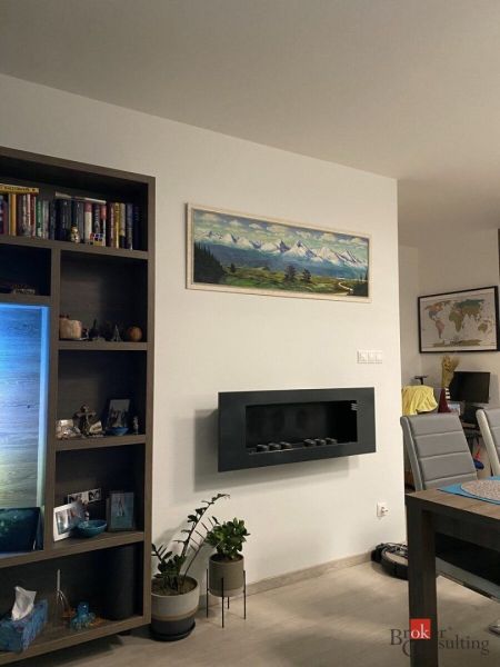 Living room in a 2-room apartment with a modern fireplace, a painting, and a bookshelf full of books.