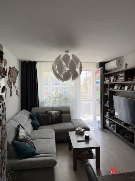 Living room in a two-room apartment with a comfortable sofa and wooden decor flooring.