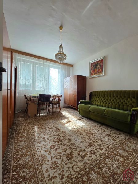 Living room of a two-room apartment with a green sofa and a vintage carpet.