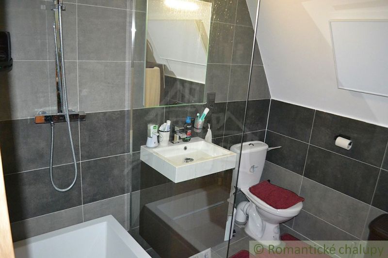 Bathroom in the cabin with a sink, shower, and toilet, tiles in dark shades.