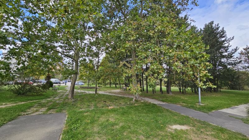 Park greenery and sidewalks in Bratislava - Dúbravka, Saratovská, with benches among the trees.