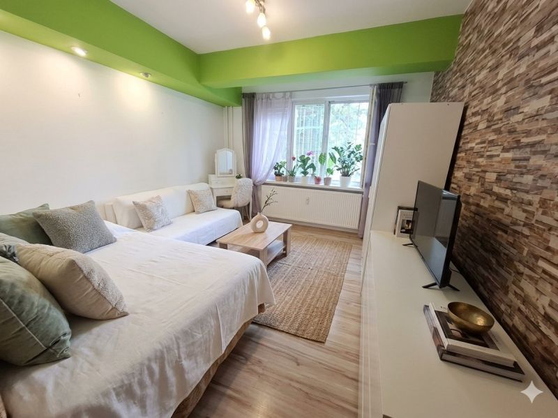 Living room in a 2-room apartment with a decorative wall and a wooden decor floor.