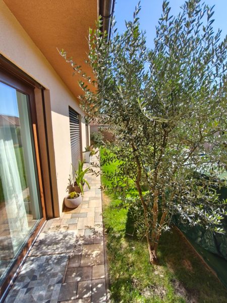A family house in Martin nad Žitavou with a terrace and greenery, olive tree, paving, green lawn.