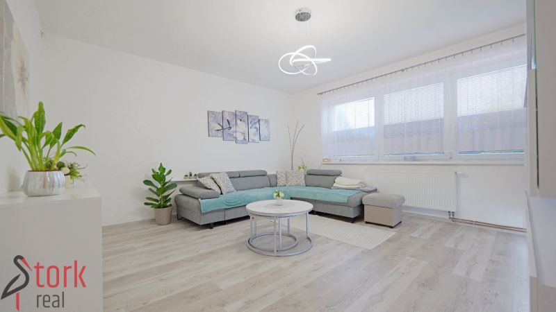 Living room with a large gray sofa, houseplants, and wood-patterned flooring.