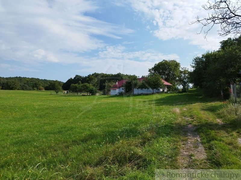 A vast meadow with a cottage in the town of Hrušov, surrounded by trees and a blue sky.