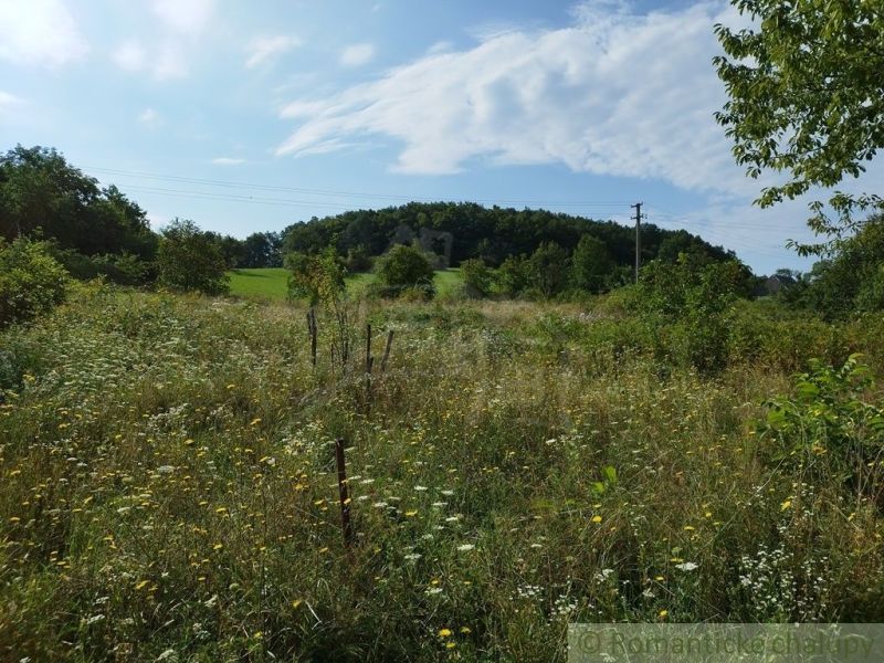 A blooming meadow around the cottage in Hrušov with a forest in the background.