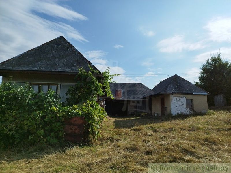 Cottages in Hrušov on a plot overgrown with grass, surrounded by greenery under a blue sky.