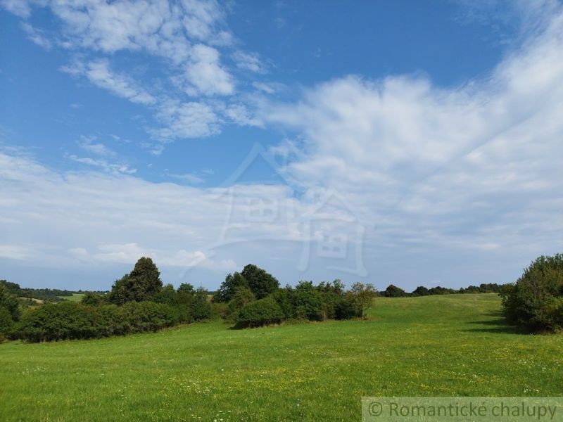 A blooming meadow with hilly landscape and blue sky in Hrušov.