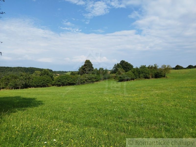 Green meadow with flowers, sky with clouds, forests around Hrušov near the cottage.