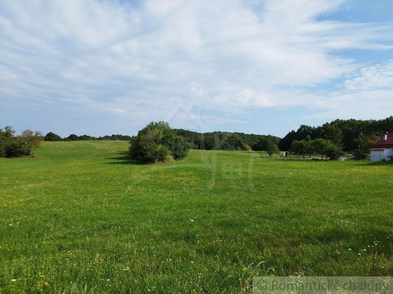 A meadow near the cottage in Hrušov with trees and a white house on the edge.