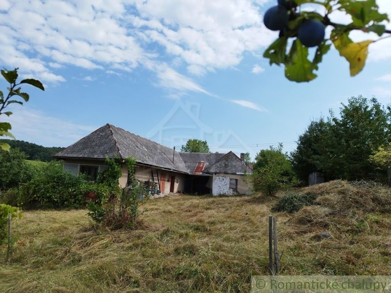 A cottage in Hrušov with an old roof surrounded by a green garden.