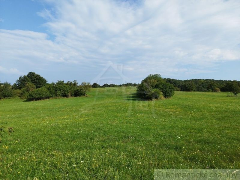 A green meadow with scattered bushes around Hrušov.