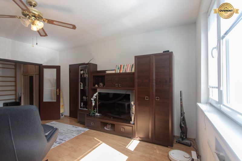 Living room with wooden furniture, wood-patterned flooring, and a ceiling fan.