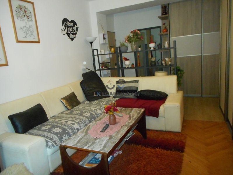 Living room with a sofa, coffee table, and wooden decor flooring in a two-room apartment.