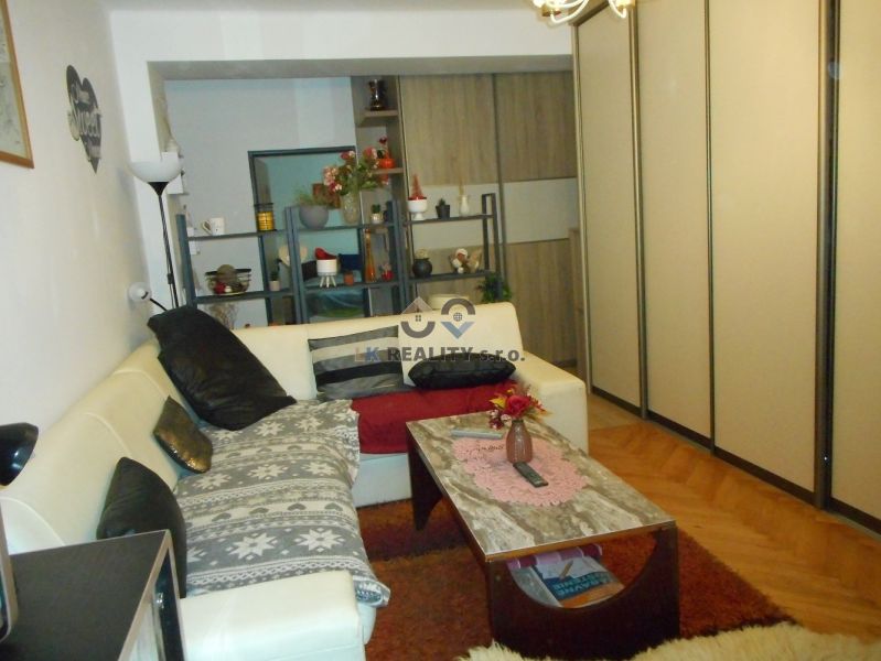 Living room in a 2-room apartment with a sofa, coffee table, and wooden decor flooring.