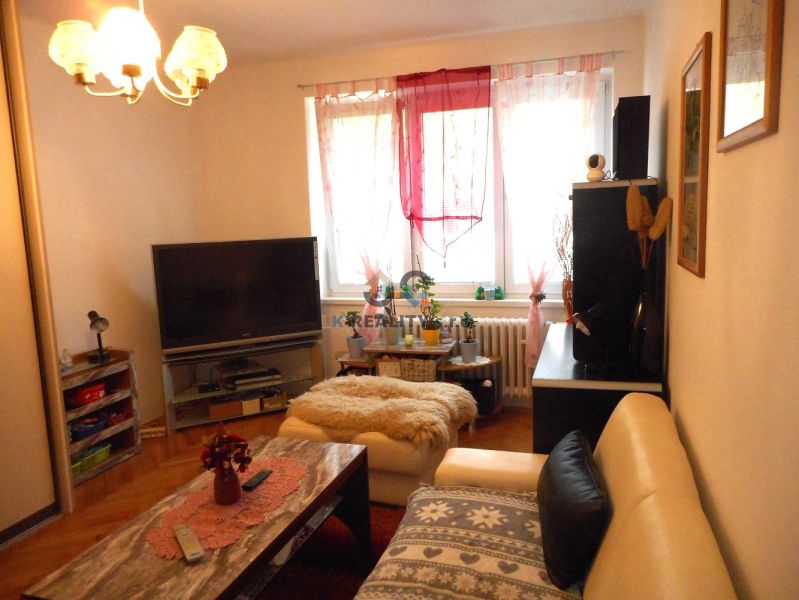 Living room with a television and wood-patterned flooring in a two-room apartment.