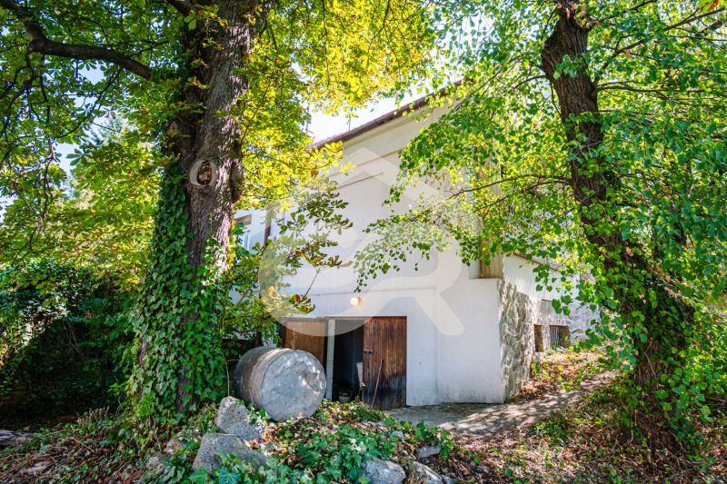 A family house on Chmeľová dolina in Nitra surrounded by trees and greenery.