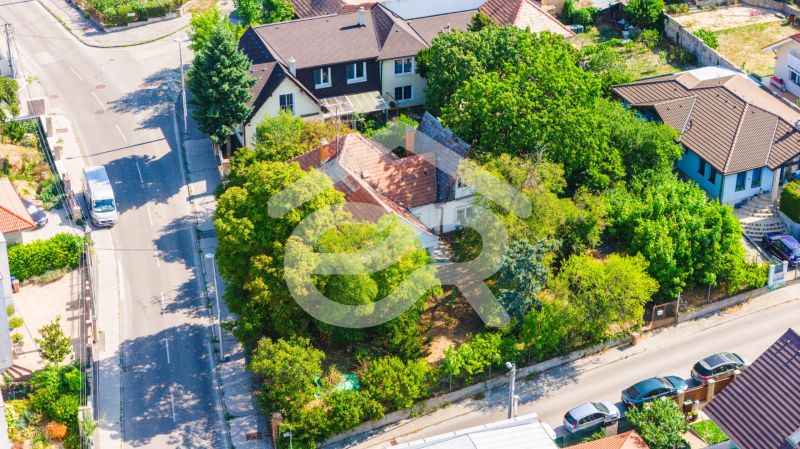 A family house surrounded by greenery on Chmeľová dolina street in Nitra.
