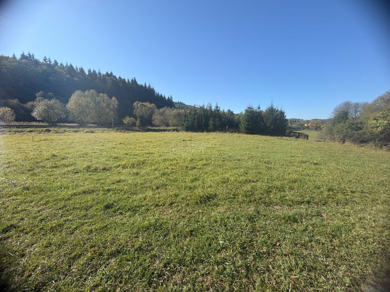 Plots - housing in Podvysoká, flat grassy area surrounded by trees with a clear sky.