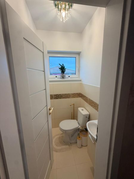 A toilet with a sink, decorative tiles, and a plant in a 3-room apartment.
