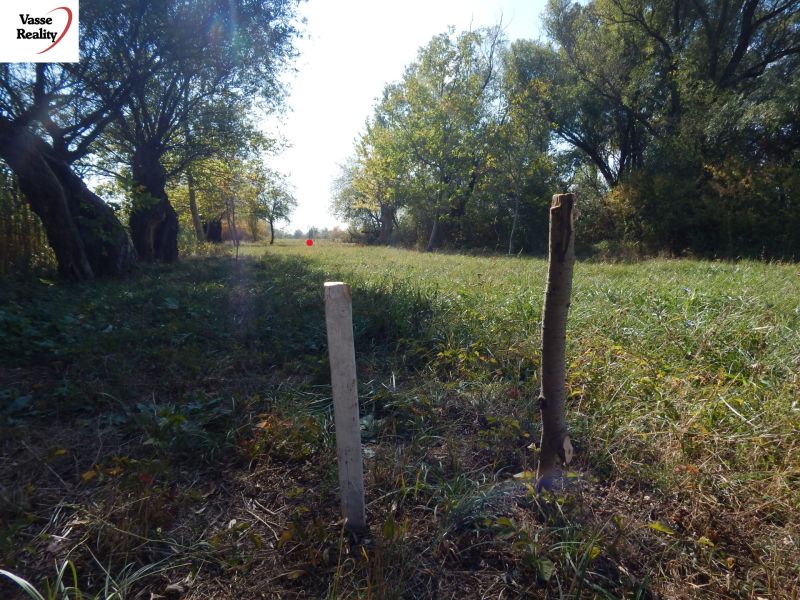 A grassy strip with wooden stakes on Recreational Land in Martovce, surrounded by trees.