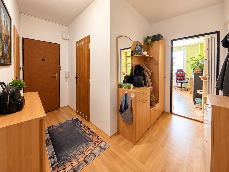 A hallway in a 2-room apartment with a wooden decor floor and a coat rack wall.